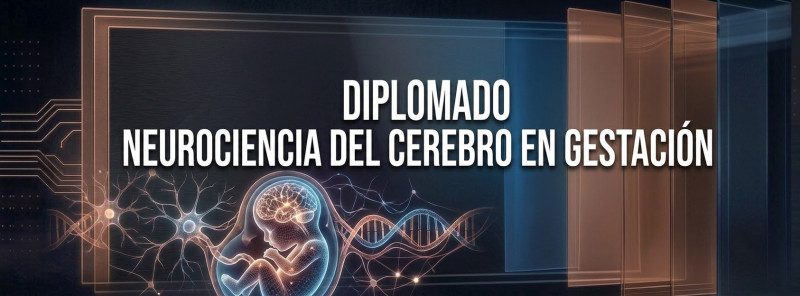 imagen portada Diplomado Neurociencia del Cerebro en Gestación